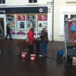 Some ponies in town you could pet to raise money for charity.